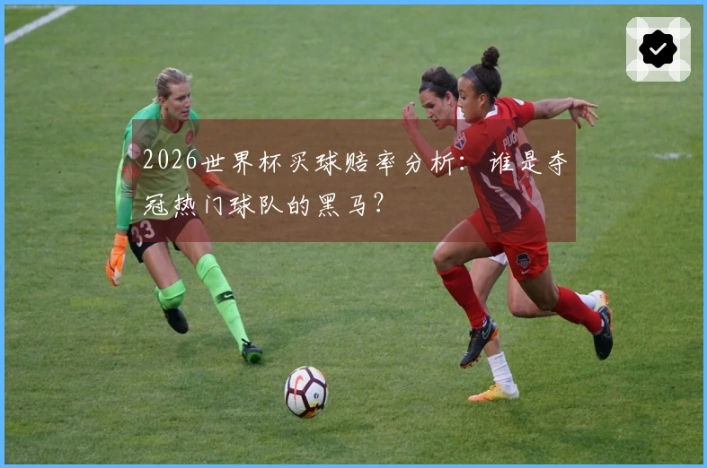 2026世界杯买球赔率分析：谁是夺冠热门球队的黑马？