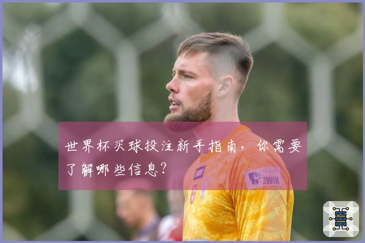 世界杯买球投注新手指南，你需要了解哪些信息？