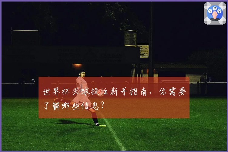 世界杯买球投注新手指南，你需要了解哪些信息？