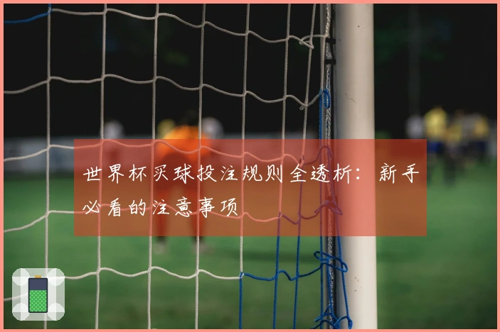 世界杯买球投注规则全透析：新手必看的注意事项